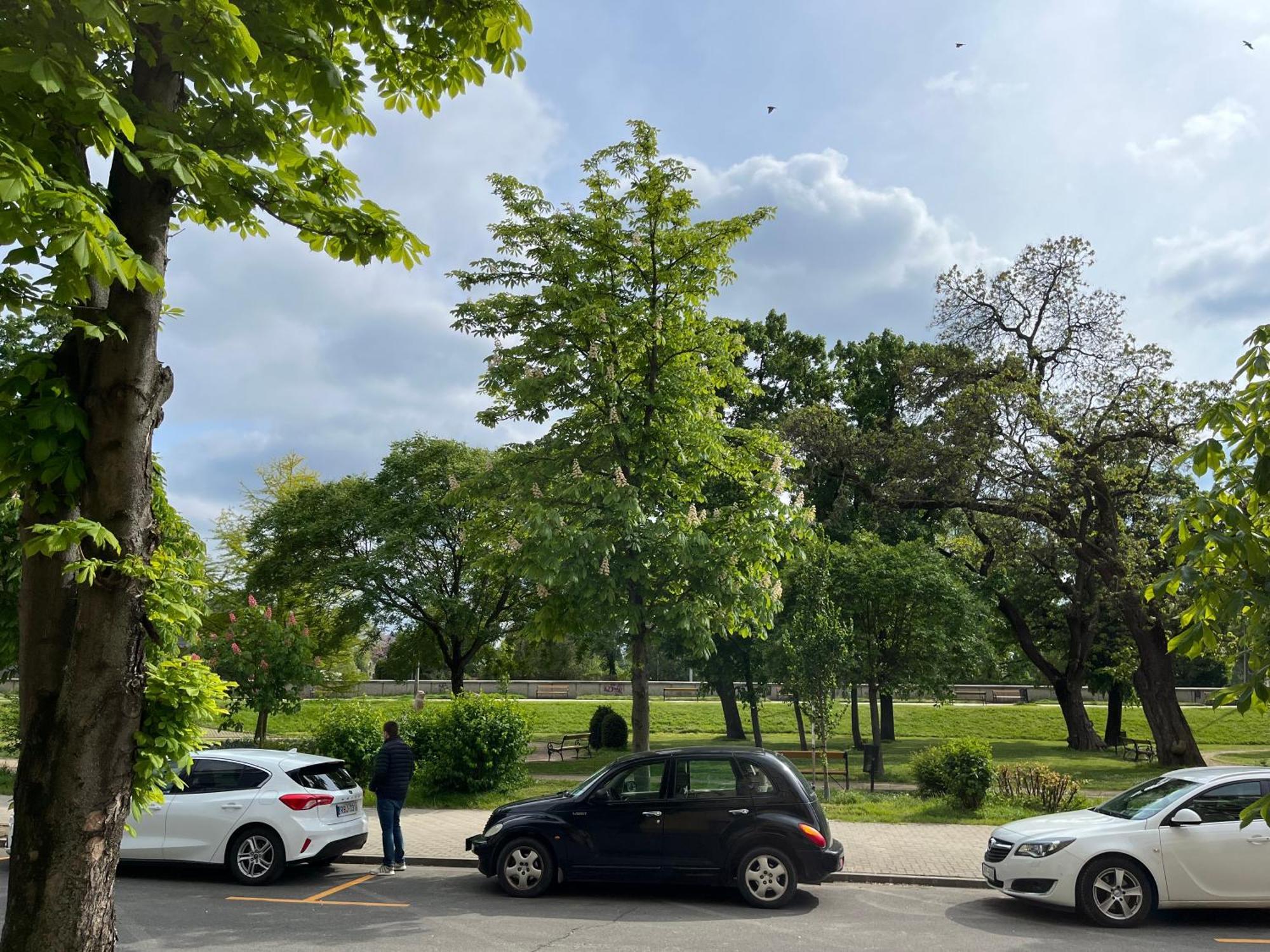 Panorama Lejlighed Győr Eksteriør billede